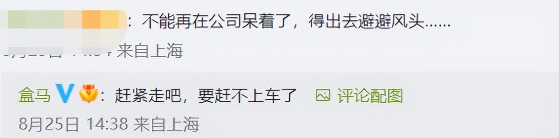 盒马直播_彩_live充值,盒马直播彩live充值卡密?