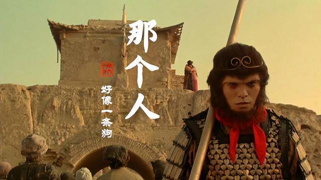 cctv6为什么被称为六公主 知乎(cctv6为什么被称为六公主是谁)