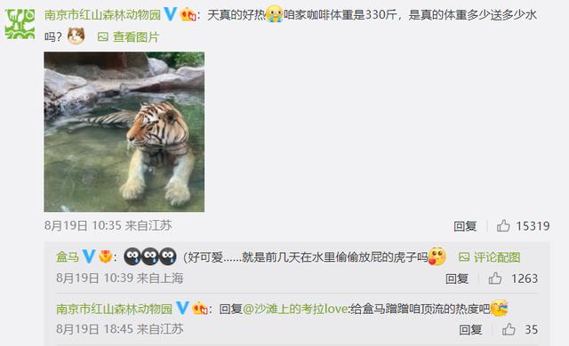 盒马直播_彩_live充值,盒马直播彩live充值卡密?