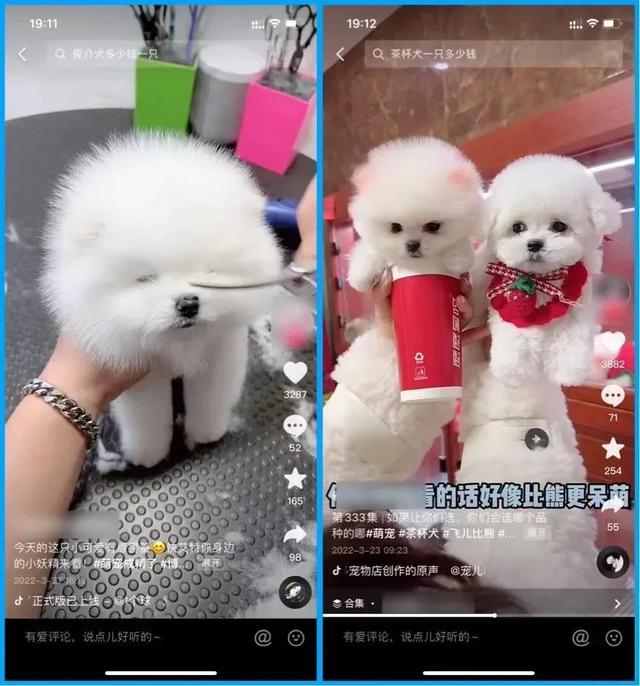 抖音买号在哪个平台买比较好,抖音买号在哪个平台买最好?