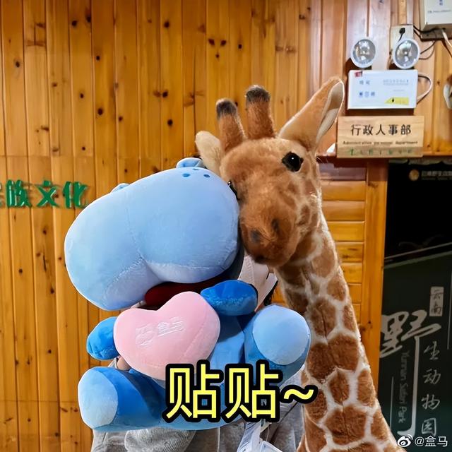 盒马直播_彩_live充值,盒马直播彩live充值卡密?