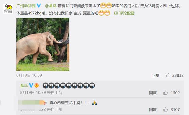 盒马直播_彩_live充值,盒马直播彩live充值卡密?