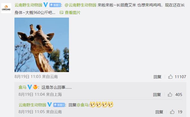 盒马直播_彩_live充值,盒马直播彩live充值卡密?
