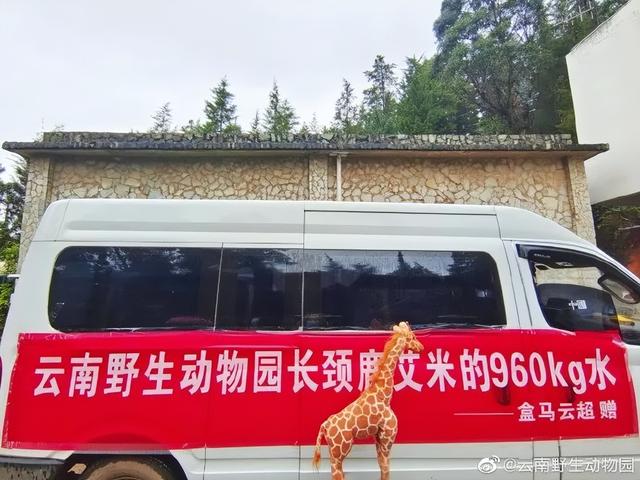 盒马直播_彩_live充值,盒马直播彩live充值卡密?