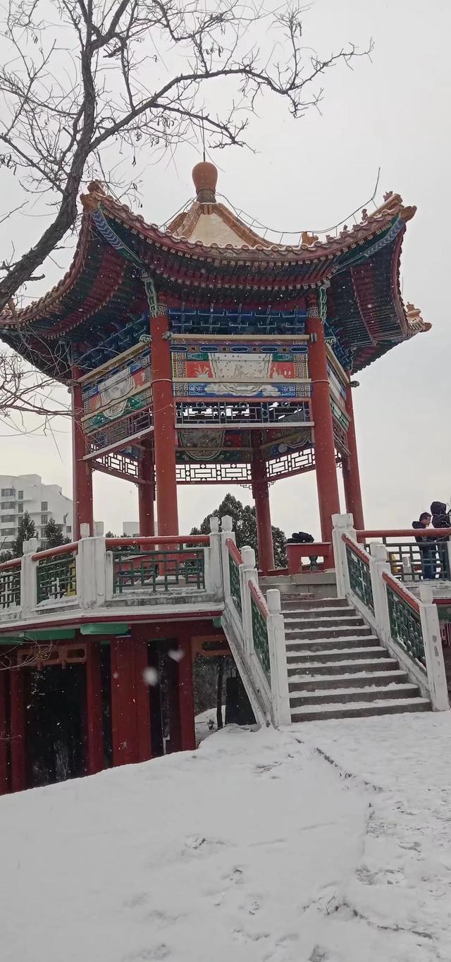 歌舞升平下一句意思(歌舞升平下一句是什么)