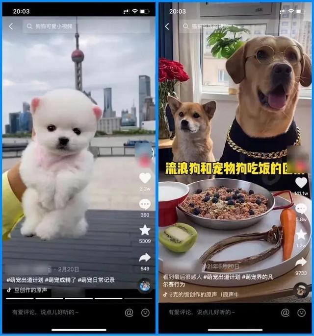 抖音买号在哪个平台买比较好,抖音买号在哪个平台买最好?