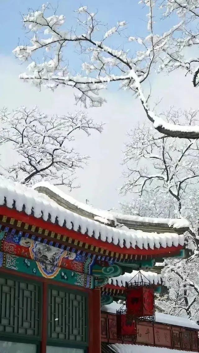 歌舞升平下一句意思(歌舞升平下一句是什么)