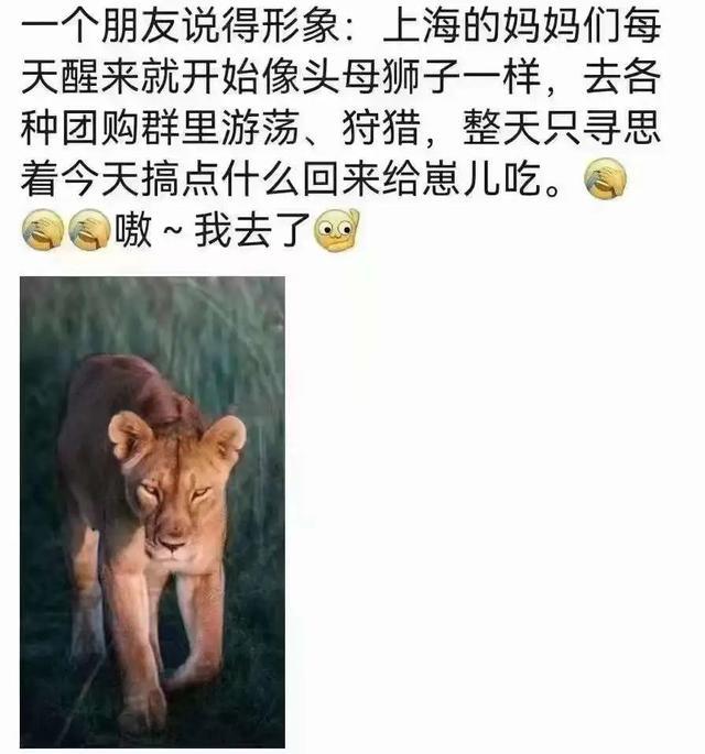 抖音cindy的长相,抖音cindy本人真容?