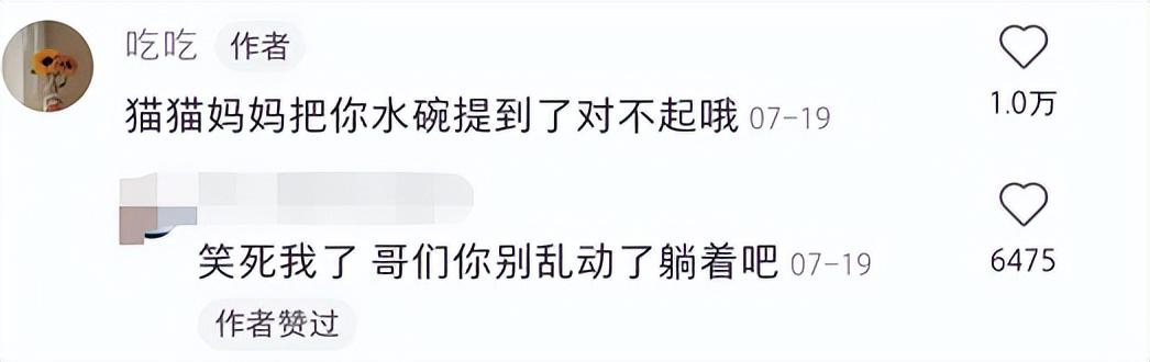 盒马直播_彩_live充值,盒马直播彩live充值卡密?