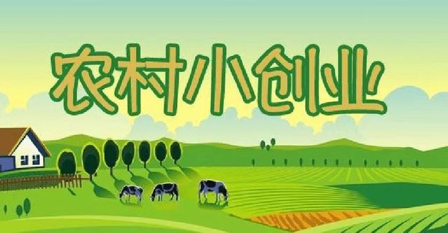 养殖业什么最赚钱农村2015(养殖业什么最赚钱农村养牛)